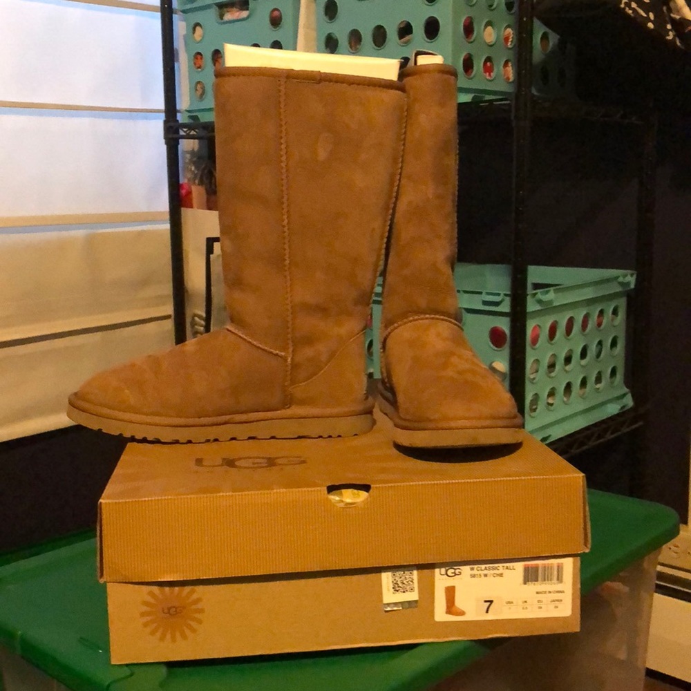 Classic tall uggs